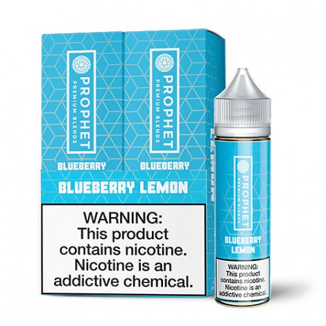 Prophet Premium Blueberry Lemon 2x 60ml Vape Juice