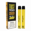 TWST To Go Disposable Vape Twin Pack